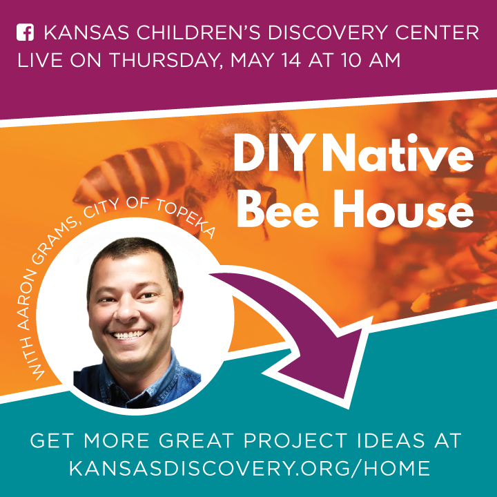 Making a Flipbook : Discovery at Home – Kansas Children's Discovery Center