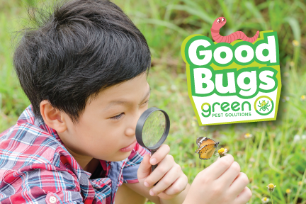 Good Bugs with Green Pest Solutions: Butterflies! @ Kansas Children's Discovery Center